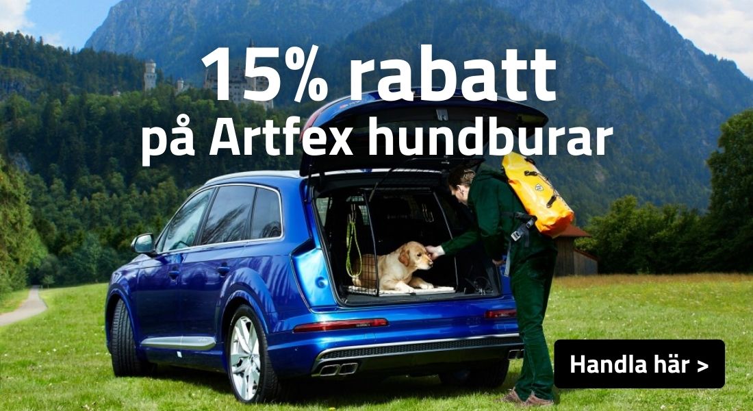 Artfex hundburar