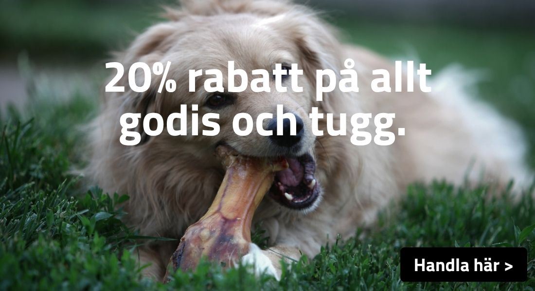 godis och tugg kampanj