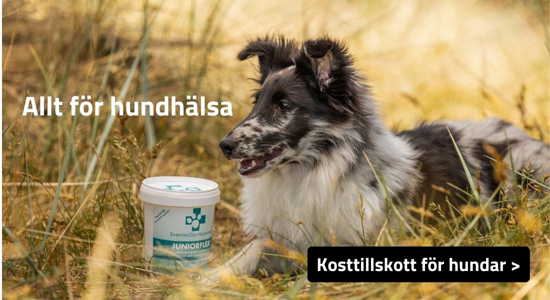 Hund.se kosttillskott