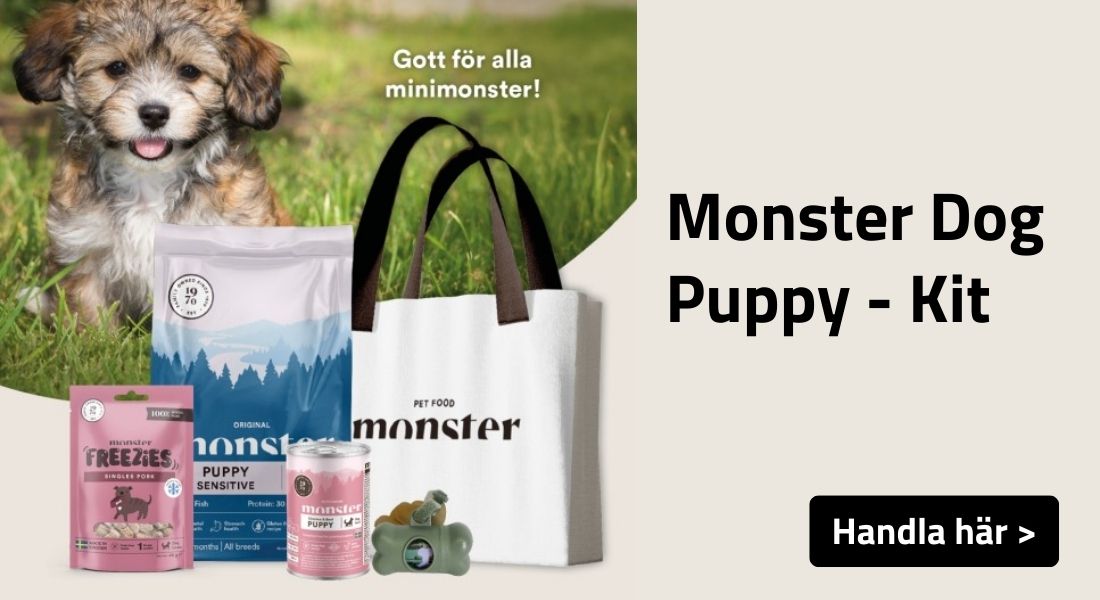 Monster dog puppy kit