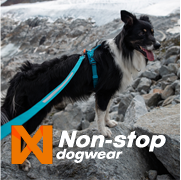 Non-stop_hogerbanner