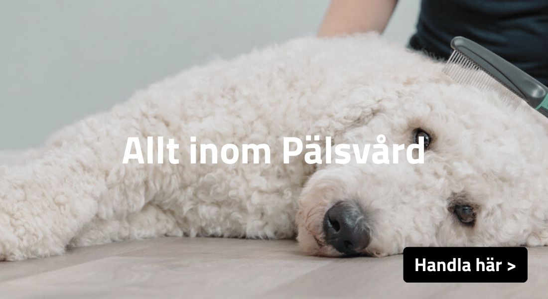 Allt inom pälsvård