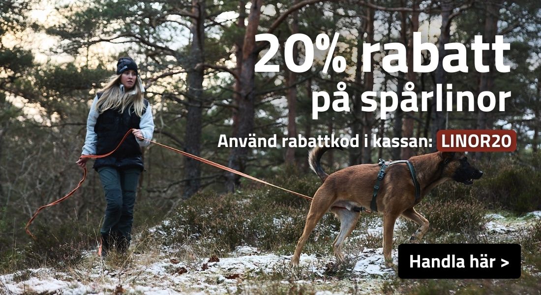 Spårlinor - 20% rabatt