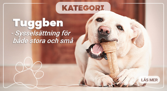 Tuggben_toppbanner