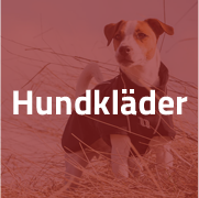 Hundtäcken