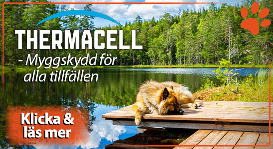 Thermacell_22_hund
