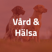 Vård & Hälsa2