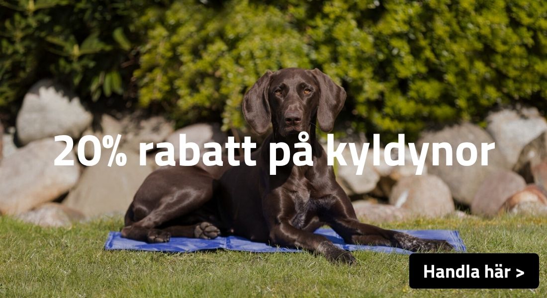 Kampanj Kyldynor 20%