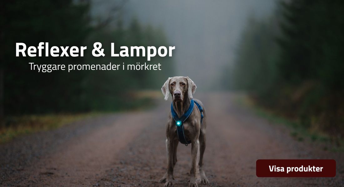 Kategoribanner Reflex