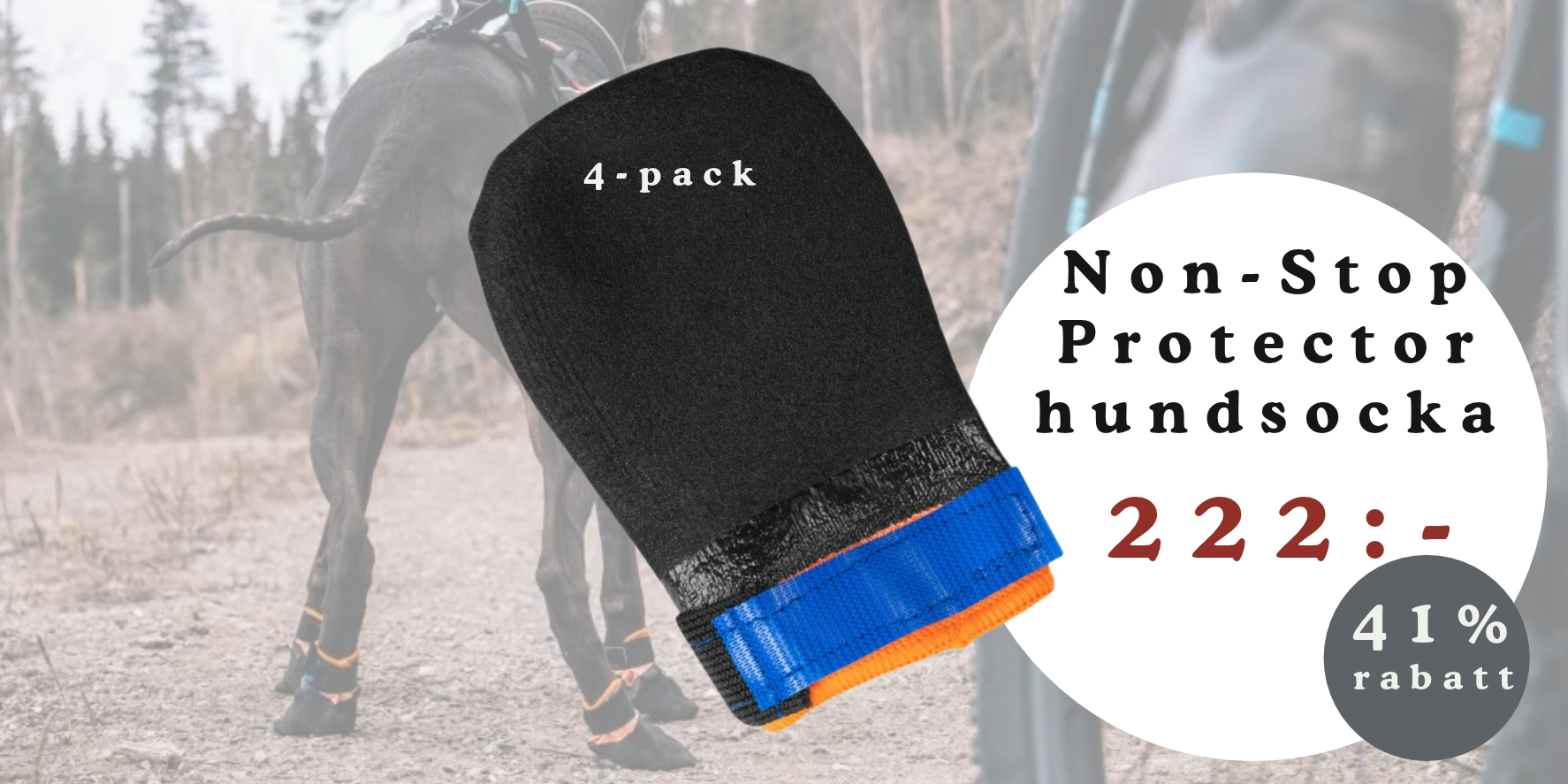 Non-Stop Protector Hundsocka 4-pack