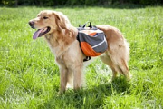 Visa alla produkter från Extreme Backpack