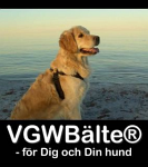 Logotyp för VGW