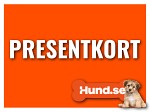 Hund.se Presentkort 500kr