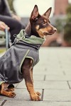 Hurtta Razzle-Dazzle Midlayer Jacket
