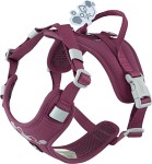 Hurtta Weekend Warrior II ECO Sele Eggplant 55-70
