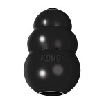 KONG Extreme L 