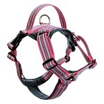 Metizo Future Walking Sele Rosa