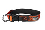 Non-Stop Roam Collar Orange