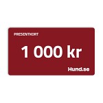 Presentkort 1 000 kr