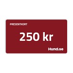 Presentkort 250 kr