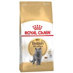 Royal Canin British Shorthair Adult, 2kg