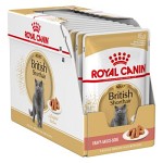 Royal Canin British Shorthair Adult Våtfoder