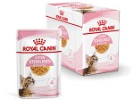 Royal Canin Kitten Sterilised Jelly Våtfoder