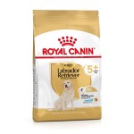 Royal Canin Labrador Retriever Adult +5, 12kg