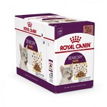 Royal Canin Sensory Taste Gravy Våtfoder 12x85g
