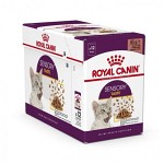 Royal Canin Sensory Taste Gravy Våtfoder 