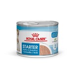 Royal Canin Starter Mousse 195g