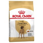 Royal Canin Great Dane Adult, 12kg