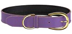 Swaggin Tails Läderhalsband Lila