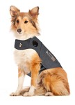 Thundershirt