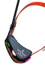 Tracker Halsband Artemis Easy