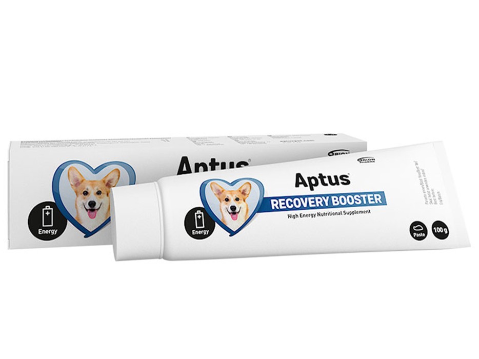 Aptus Recovery Booster 100g