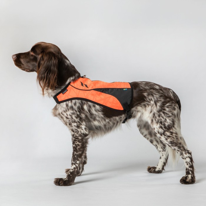 Back on Track POINT Dog Visibility Vest
