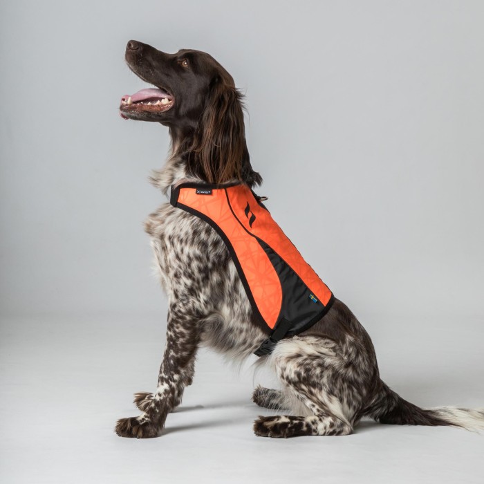Back on Track POINT Dog Visibility Vest
