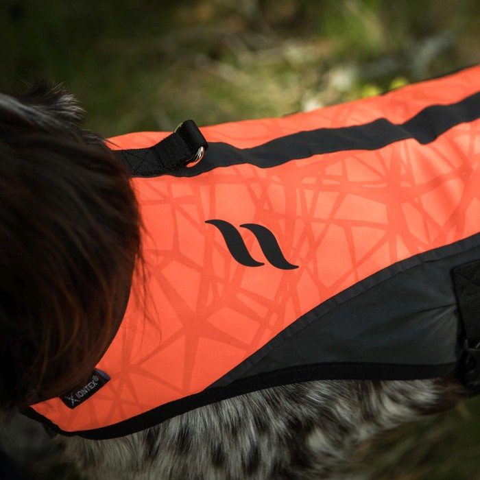 Back on Track POINT Dog Visibility Vest