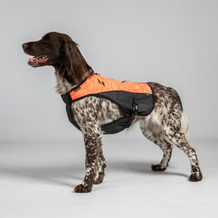 Back on Track Trakk Dog Protection Visibility Vest