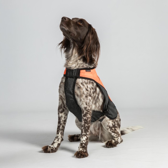 Back on Track Trakk Dog Protection Visibility Vest
