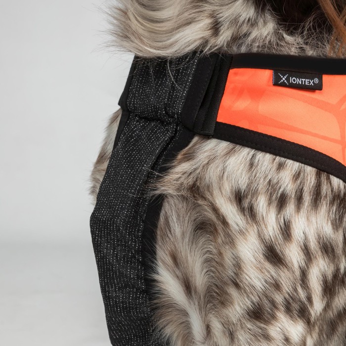 Back on Track Trakk Dog Protection Visibility Vest