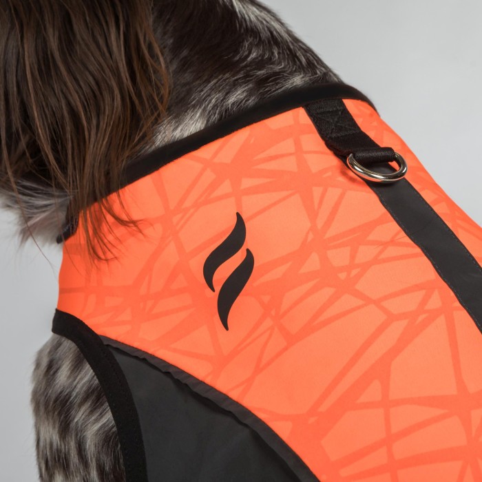 Back on Track Trakk Dog Protection Visibility Vest