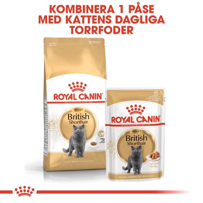 Royal Canin British Shorthair Adult 2kg