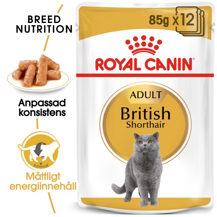 Royal Canin British Shorthair Adult Våtfoder