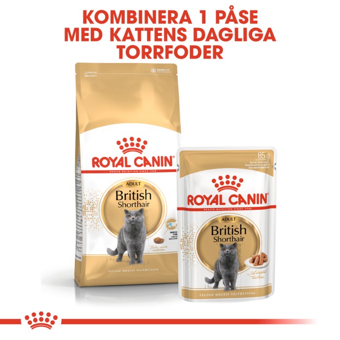 Royal Canin British Shorthair Adult Våtfoder