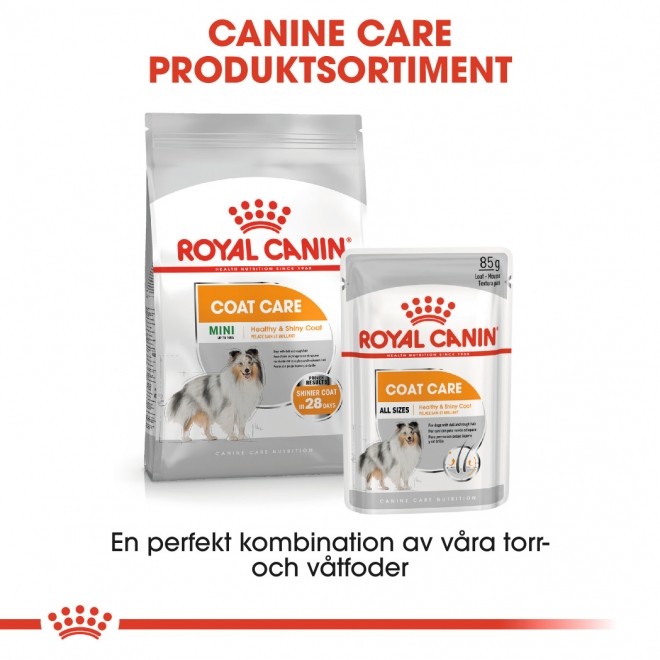 Royal Canin Coat Care Adult Mini 8kg