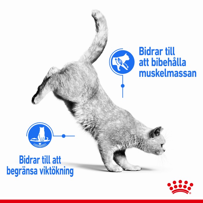 Royal Canin Light Weight Care 3kg