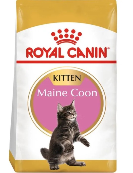 Royal Canin Maine Coon Kitten 10kg