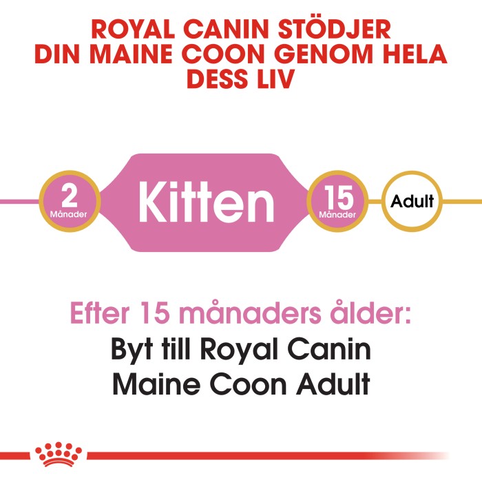 Royal Canin Maine Coon Kitten 10kg